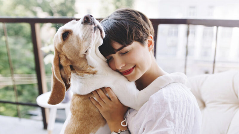 Protege a tu perro con el Seguro de Mascotas